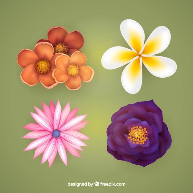 Gratis vector realistische lente bloemen collectie