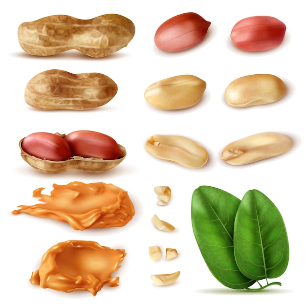 Gratis vector realistische pinda set geïsoleerde beelden van bonen in shell met groene bladeren en pindakaas