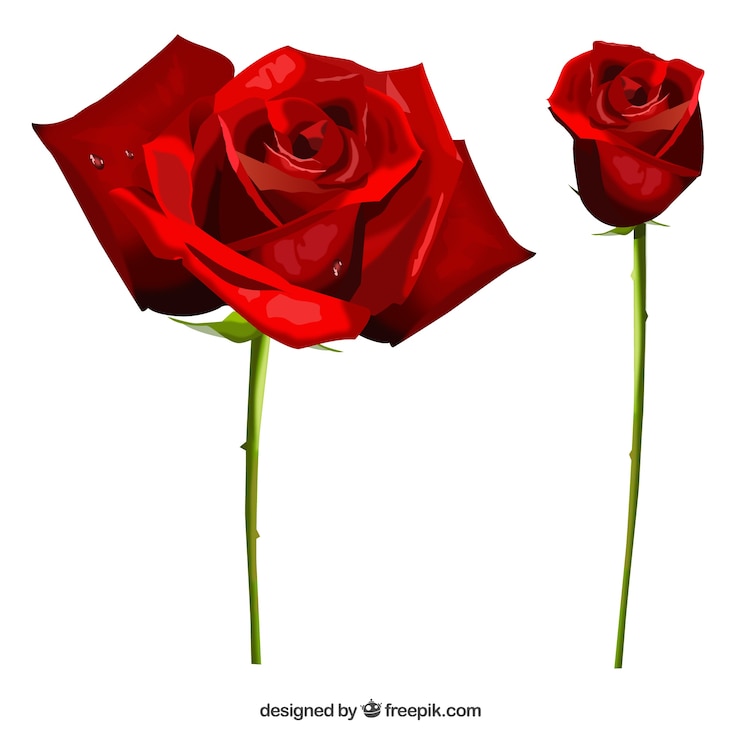 Gratis Vector realistische rozen