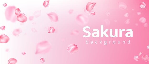 Realistische sakura bloemblaadjes achtergrond