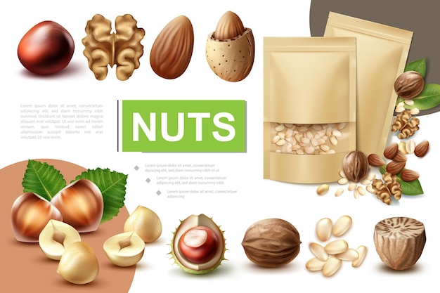 Realistische samenstelling van gezonde noten met walnoot, hazelnoot, macadamia, nootmuskaat, amandel, kastanje en pakjes pijnboompitten