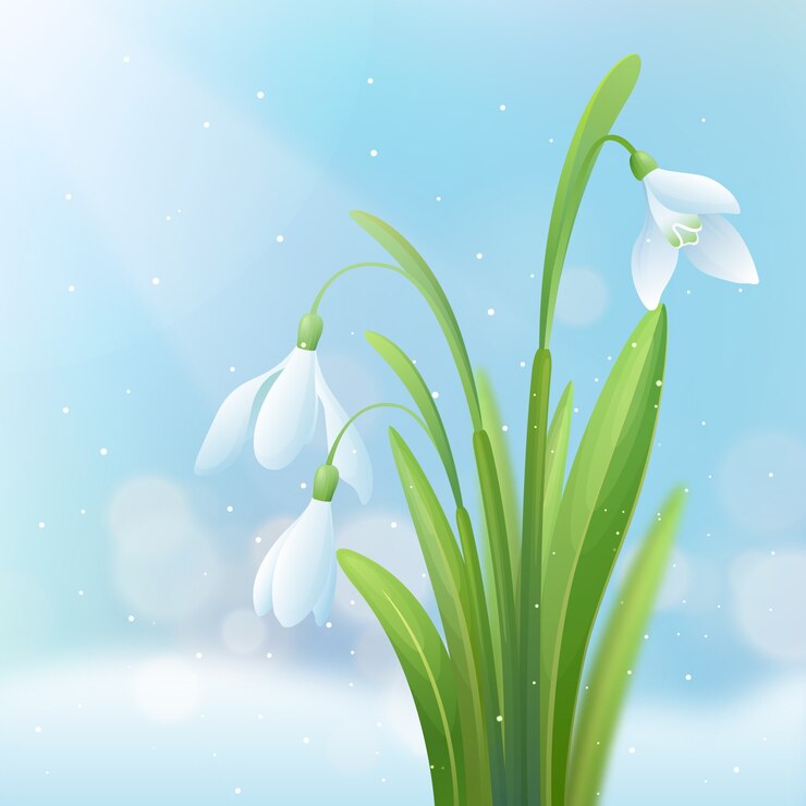 Gratis Vector realistische sneeuwklokje bloem illustratie