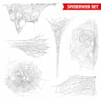 Gratis vector realistische spinnenweb spinnenwebset