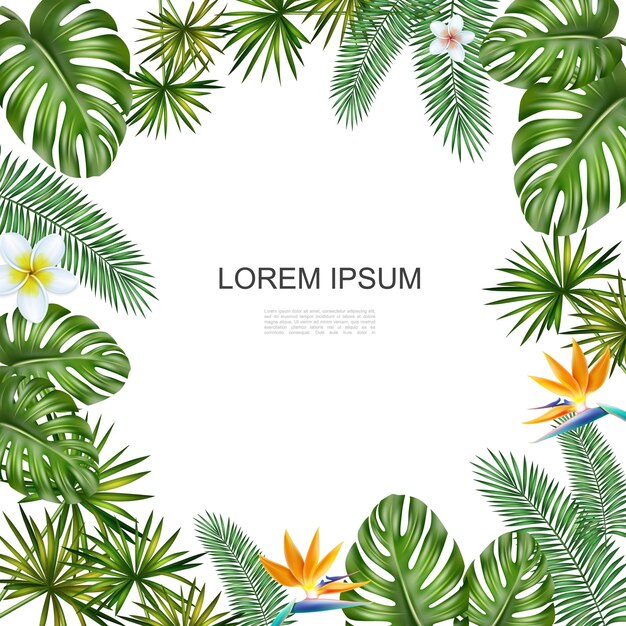 Realistische tropische bloemen concept met palm monstera verlaat plumeria en paradijsvogel bloemen illustratie