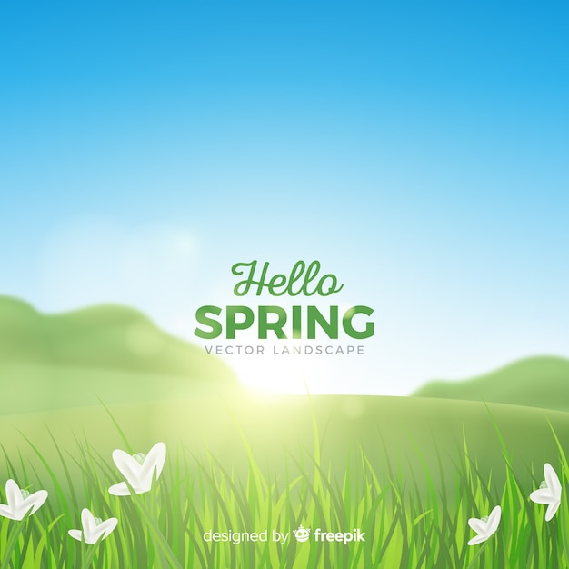 Realistische veld lente achtergrond