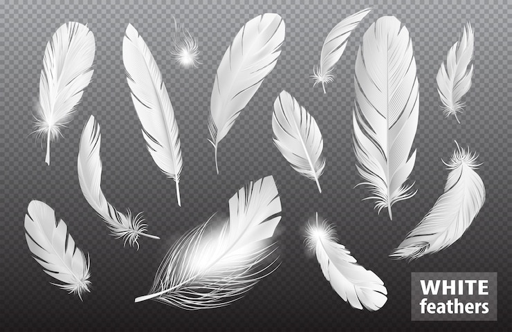 Gratis Vector realistische veren transparante set met geïsoleerde afbeeldingen van pluizige vogelveren puur en glanzend met tekst vectorillustratie