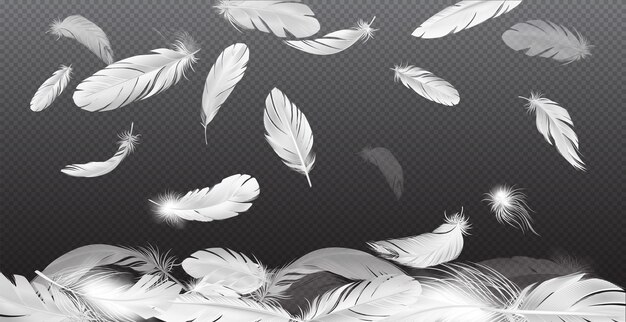 Realistische veren vallende compositie met transparante achtergrond en vallende witte veren met verschillende transparantie en vorm vectorillustratie