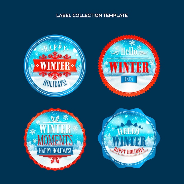 Realistische verzameling winterbadges