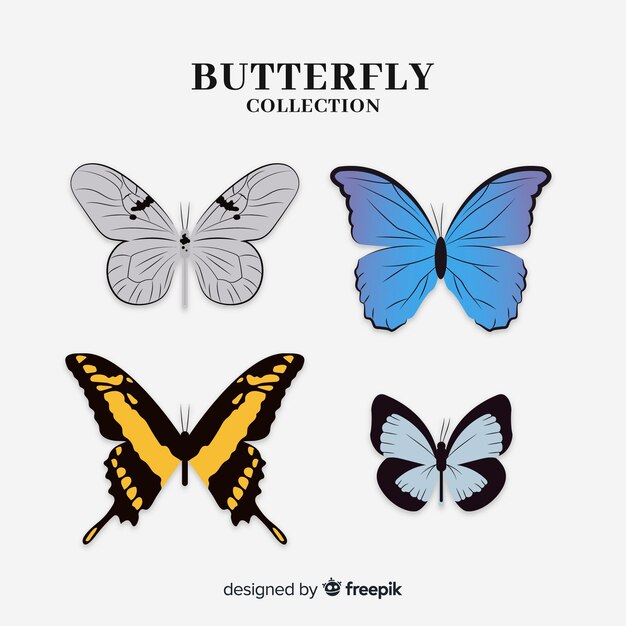 Realistische vlindercollectie