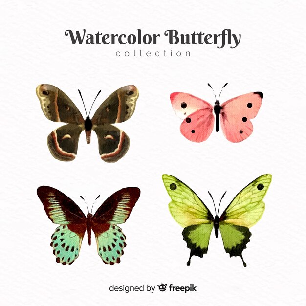 Realistische vlindersinzameling