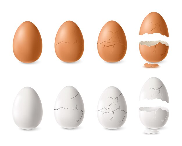 Realistische witte en bruine gebarsten en open eierset geïsoleerde illustratie