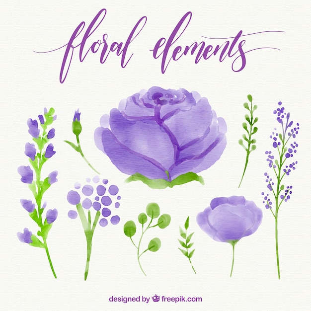 Gratis vector reeks decoratieve waterverfbloemen