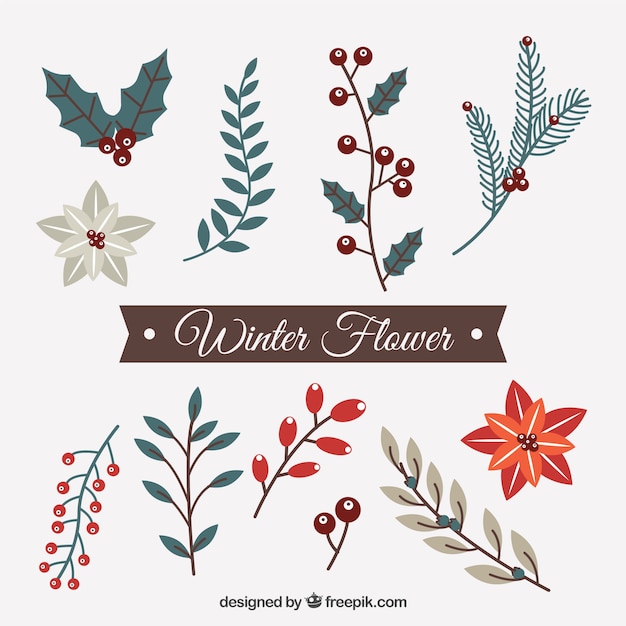 Gratis vector reeks decoratieve winter bloemen