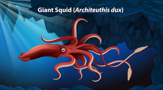 Gratis vector reuzeninktvis architeuthis dux vector