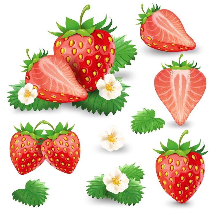 Gratis Vector rijke aardbeien met bladeren en bloesem vector set