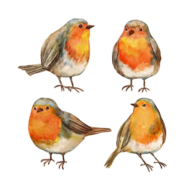 Gratis vector robin-collectie in aquarelstijl