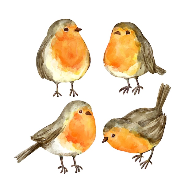 Gratis vector robin-set in aquarelstijl