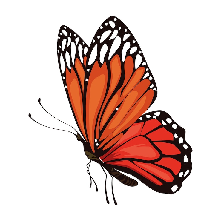 Gratis Vector rode schoonheid vlinder insect pictogram