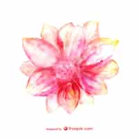 Gratis vector roze bloem aquarel kaart