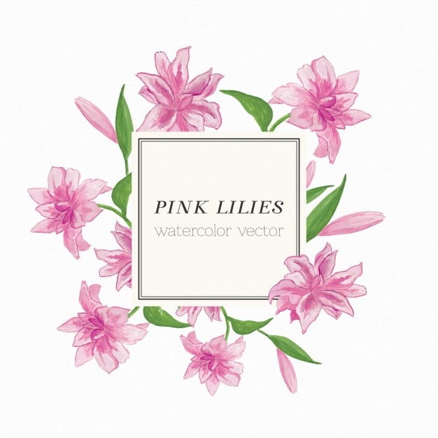 Roze lelies aquarel vector