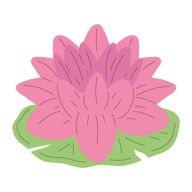 Gratis vector roze lotusbloem