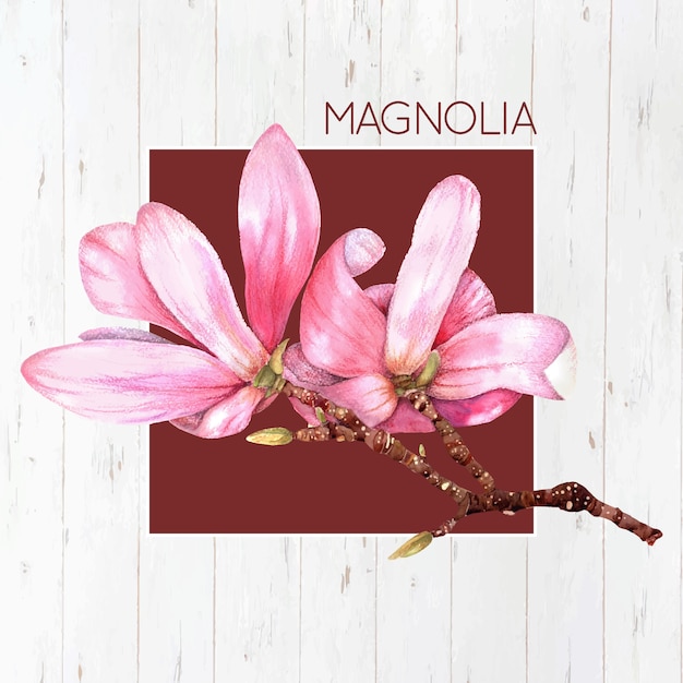 Gratis vector roze magnolia achtergrond