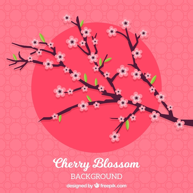 Gratis vector sakura-achtergrond in plat ontwerp