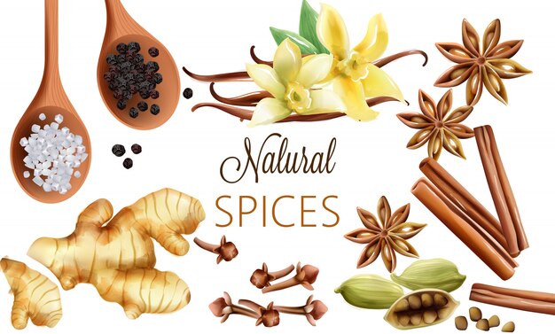 Samenstelling van natuurlijke kruiden met zout, zwarte peper, gember, kaneelstokjes en vanille