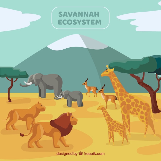 Savannah ecosysteemconcept met wilde dieren