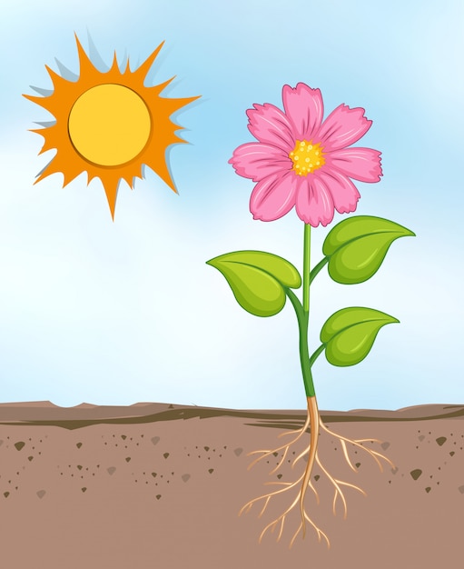 Gratis vector scène met bloemen die in de heldere zonnige dag groeien