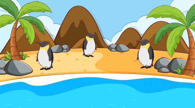 Scène met pinguïns op het strand