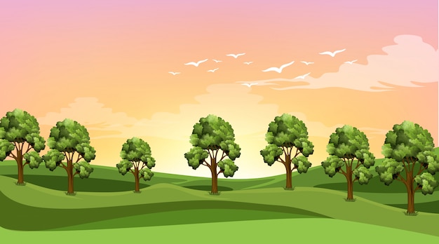 Gratis vector scène met veel bomen in het veld