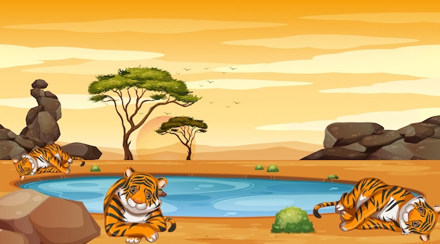 Gratis vector scène met veel tijgers in het veld