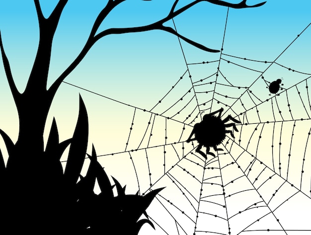 Schaduw van spinnenweb natuur achtergrond