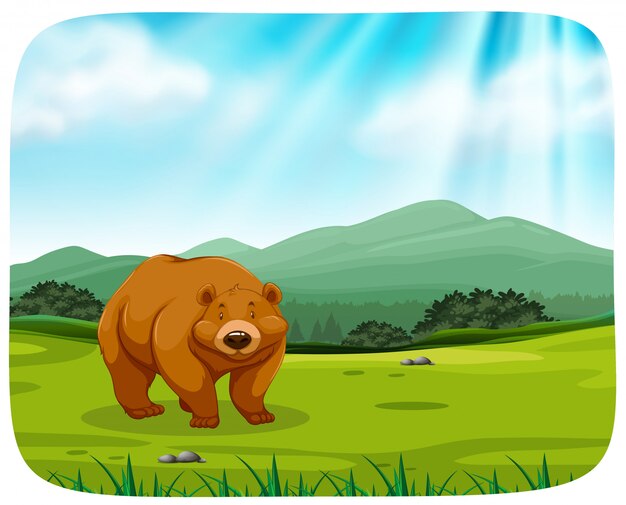 Schattige beer in de natuur