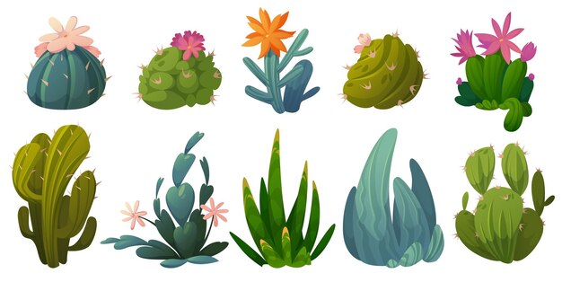 Schattige cactussen, vetplanten en woestijnplanten met bloemen geïsoleerd op een witte achtergrond. Vector cartoon set groene stekelige cactussen met bloesems en spikes. Iconen van kamerplant en tuincactaceae
