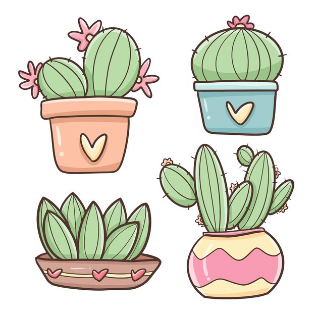 schattige cactussen