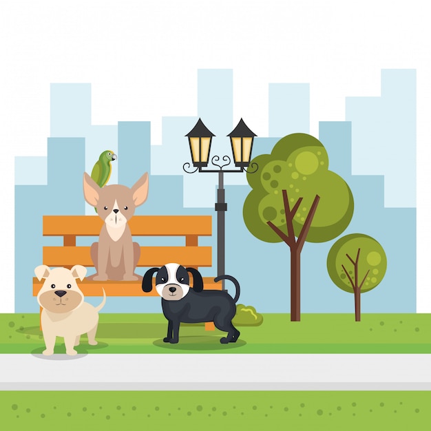 Gratis vector schattige honden in de parkscène