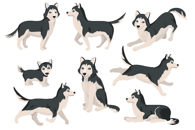 Gratis vector schattige husky hond in verschillende poses platte set