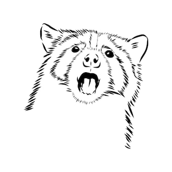 Schets wasbeer gezicht hand getrokken vectorillustratie in doodle stijl
