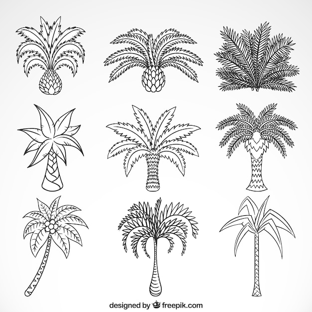 Gratis vector schetsen van palmbomen collectie