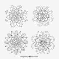 Gratis vector schetst bloemenornamenten