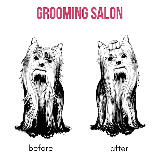 Gratis vector schoonheidssalon sjabloon