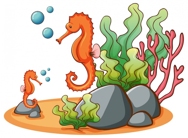 Gratis vector seahorse in de zeebodem