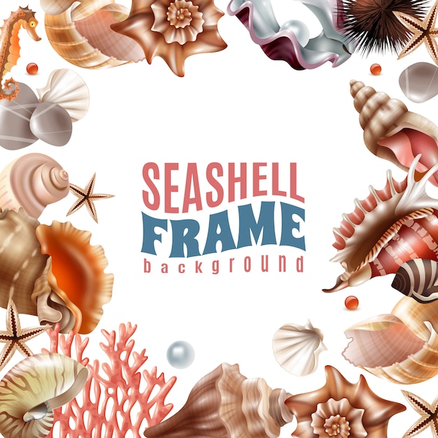 Gratis vector seashell realistische frame