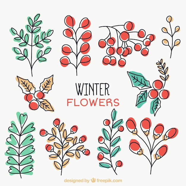 Gratis vector selectie van de hand getekende winter planten