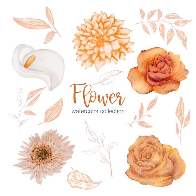 Gratis vector set afzonderlijke delen en breng samen tot een mooi boeket bloemen in waterkleurenstijl op een witte platte vectorillustratie als achtergrond