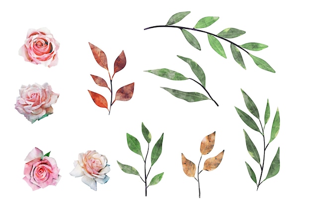 Gratis vector set aquarel bloemen ontwerpelementen