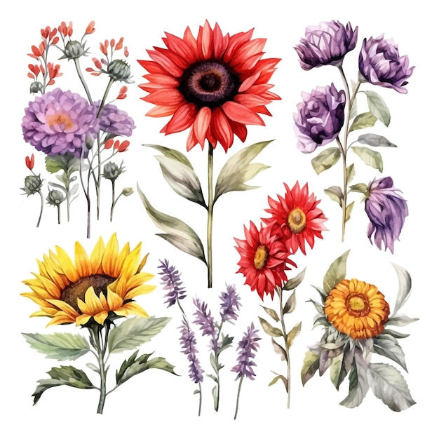 Gratis vector set aquarel zonnebloem lavendel rode anemonen kleurrijke bloemen