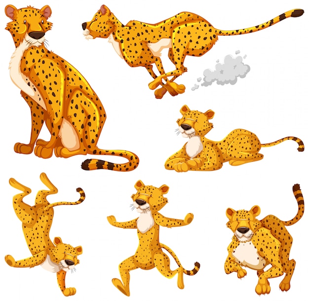 Gratis vector set cheetah stripfiguur